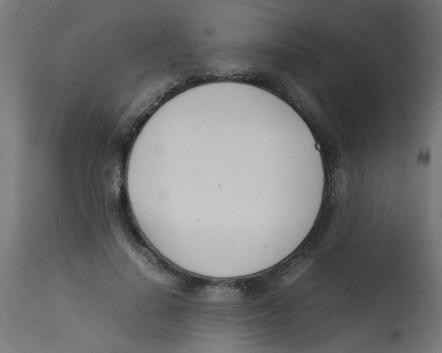 X0000113210644200910081318