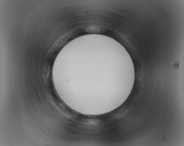 X0000113210645200910081318