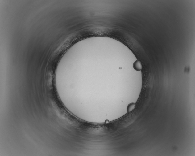 X0000113210646200910081318