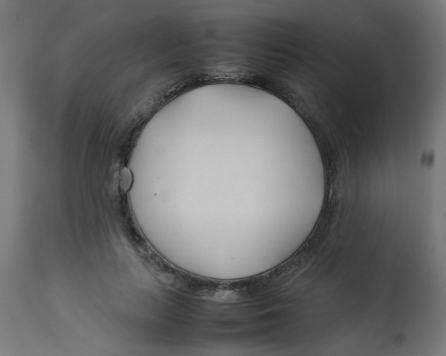 X0000113210647200910081318