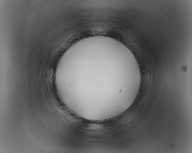 X0000113210649200910081318