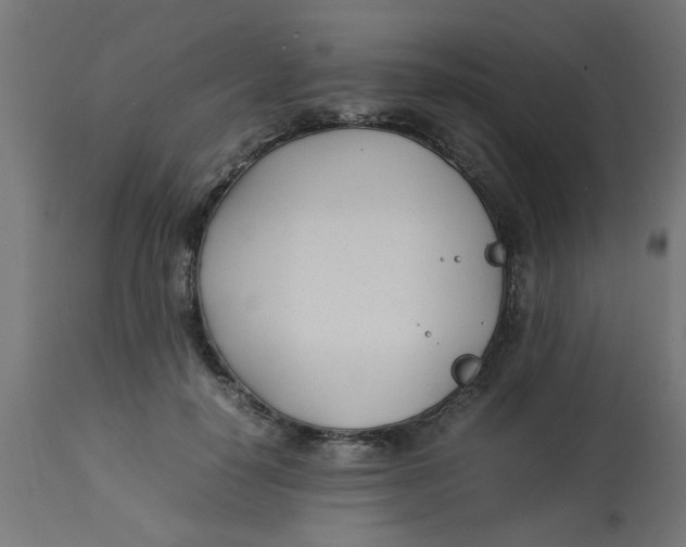 X0000113210650200910081318