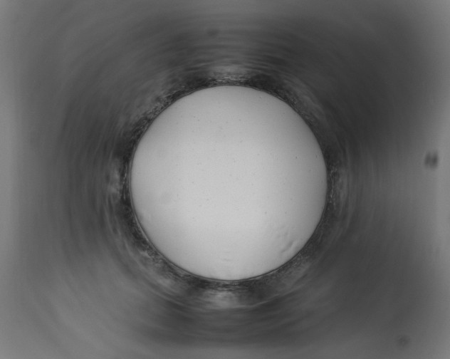 X0000113210655200910081318