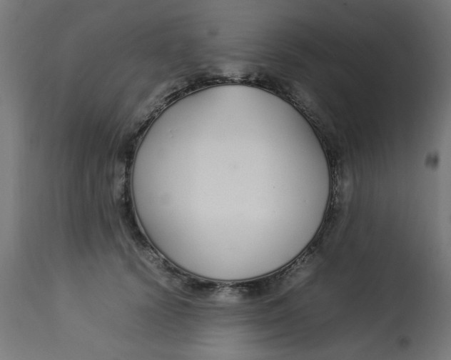 X0000113210656200910081318