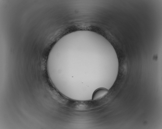 X0000113210658200910081318