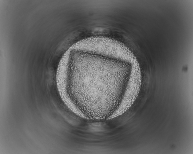 X0000113210659200910081318