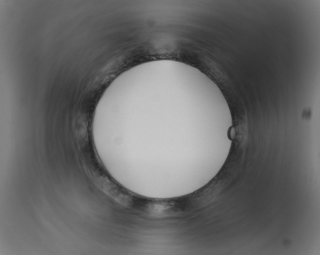 X0000113210662200910081318