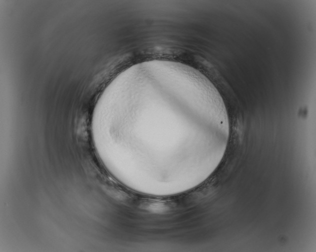 X0000113210663200910081318