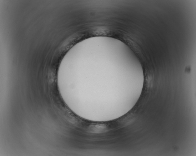 X0000113210665200910081318