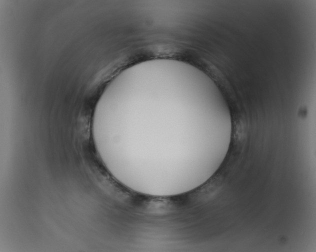 X0000113210666200910081318