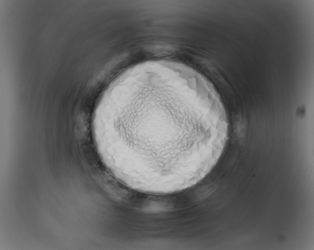 X0000113210667200910081318