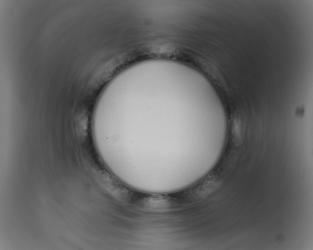 X0000113210668200910081318