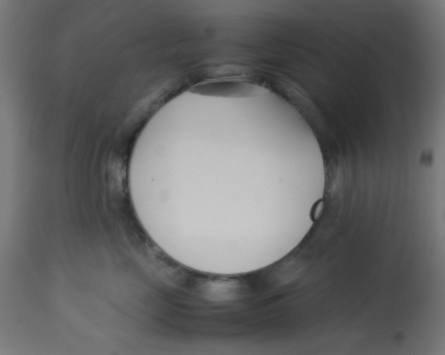 X0000113210669200910081318