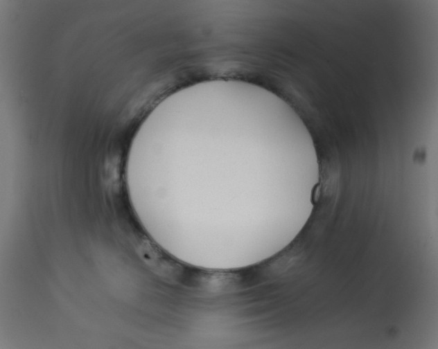 X0000113210670200910081318