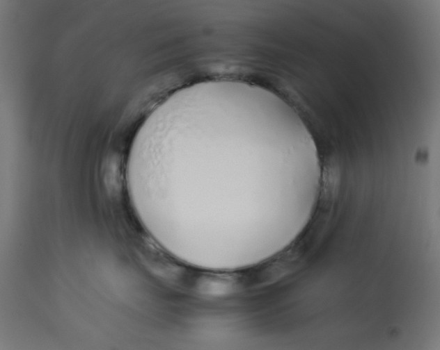 X0000113210671200910081318