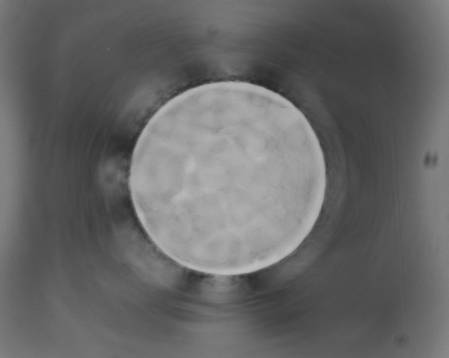 X0000113210672200910081318