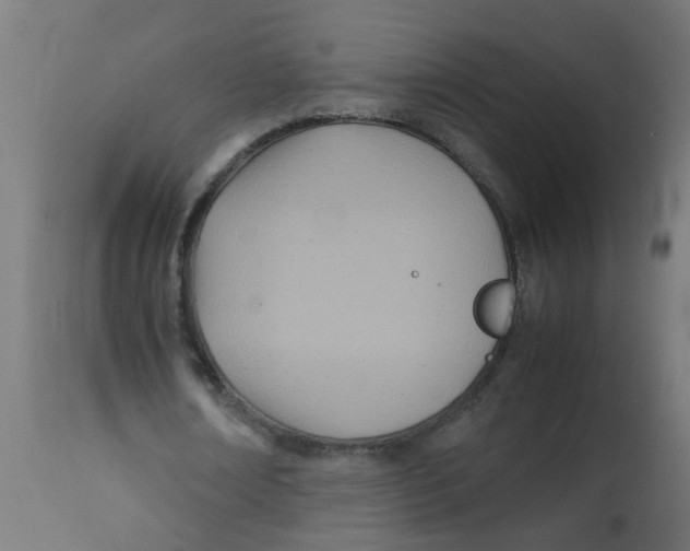 X0000113210674200910081317