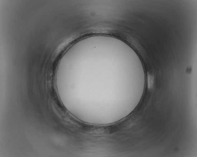 X0000113210675200910081317