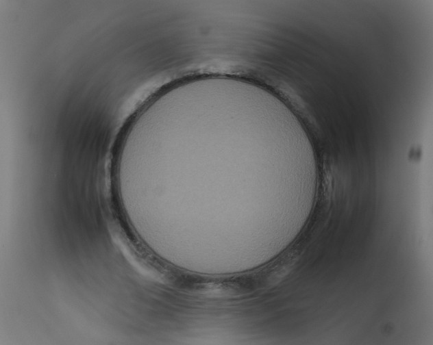 X0000113210678200910081317