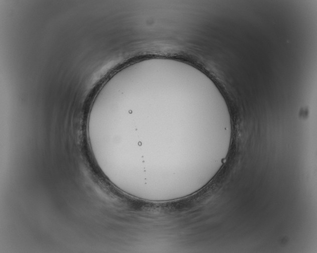 X0000113210679200910081317