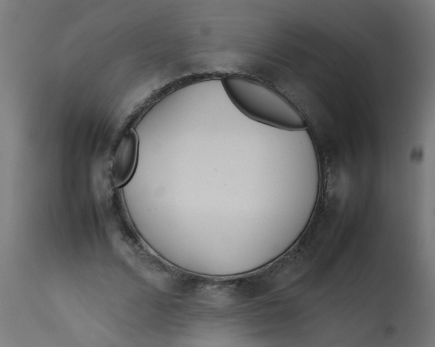 X0000113210680200910081317