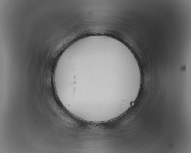 X0000113210681200910081317