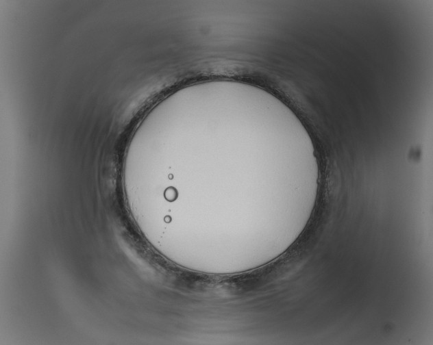 X0000113210683200910081317