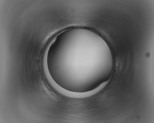 X0000113210684200910081317