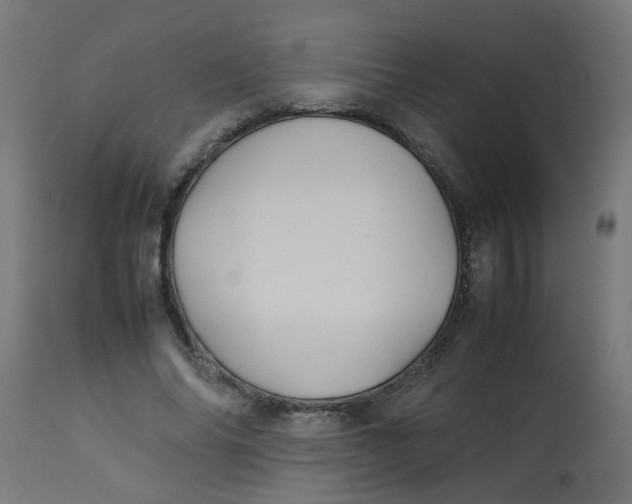 X0000113210686200910081317