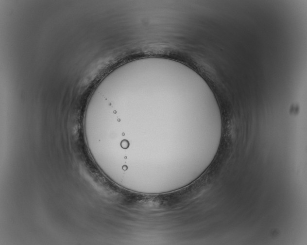 X0000113210687200910081317