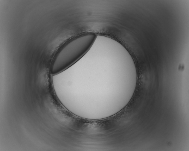 X0000113210688200910081317