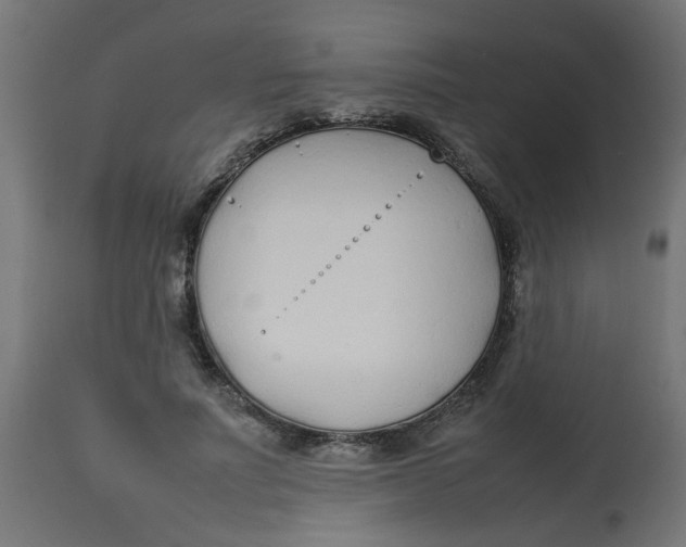 X0000113210691200910081317