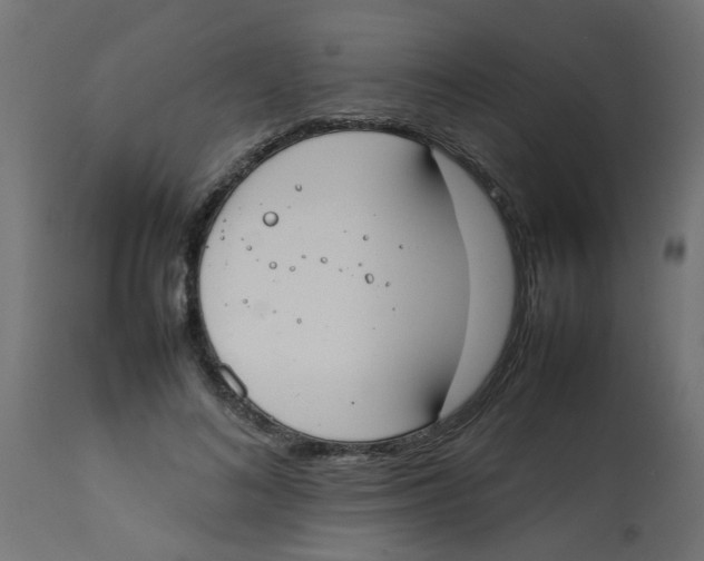 X0000113210692200910081317