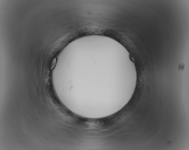 X0000113210693200910081317