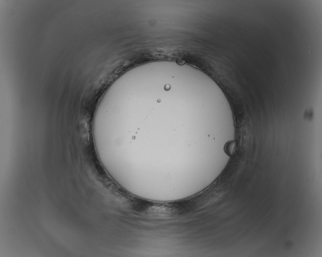 X0000113210699200910081317