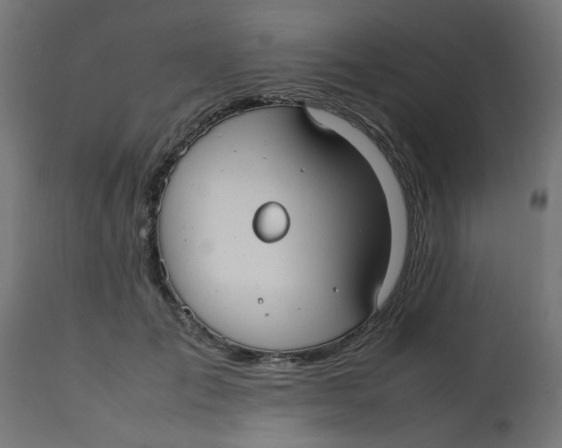 X0000113210701200910081317