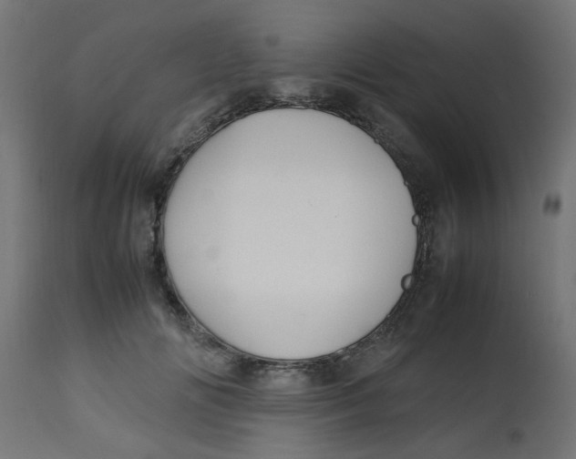 X0000113210702200910081317