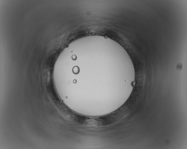 X0000113210703200910081317