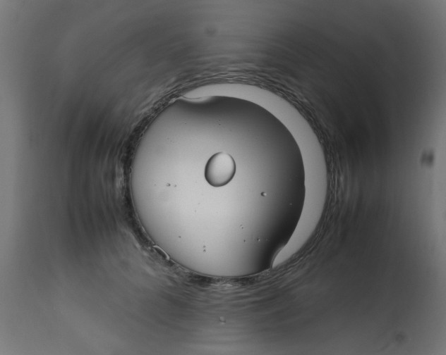 X0000113210704200910081317