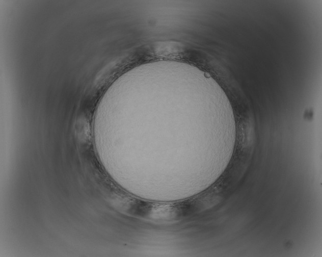 X0000113210705200910081317