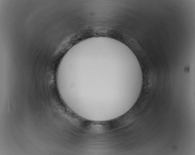 X0000113210706200910081317