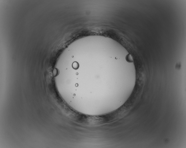 X0000113210707200910081317