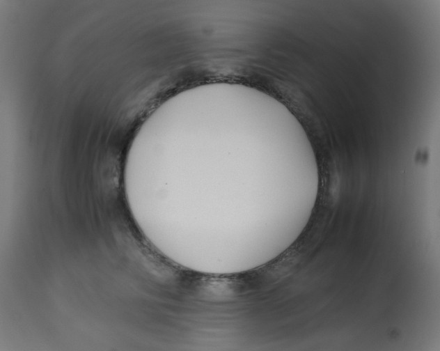 X0000113210710200910081317