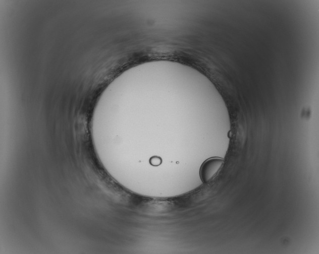 X0000113210711200910081317