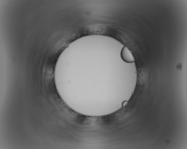 X0000113210713200910081317