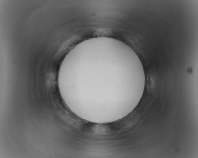 X0000113210714200910081317