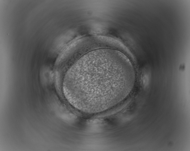 X0000113210716200910081317