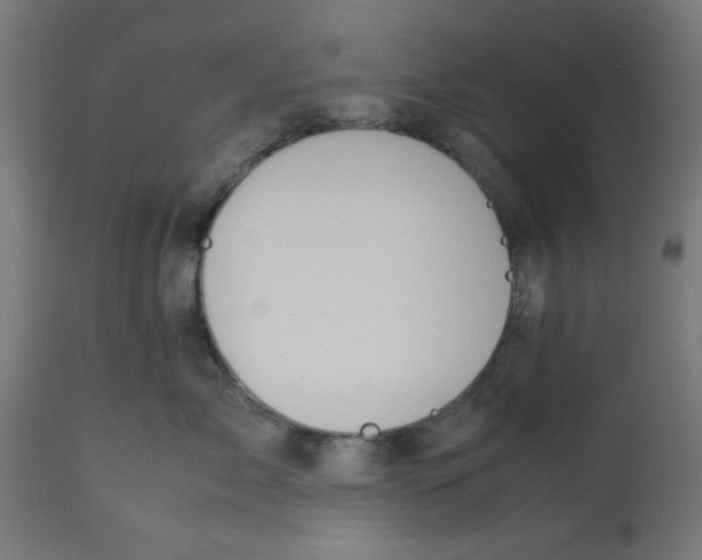 X0000113210717200910081317