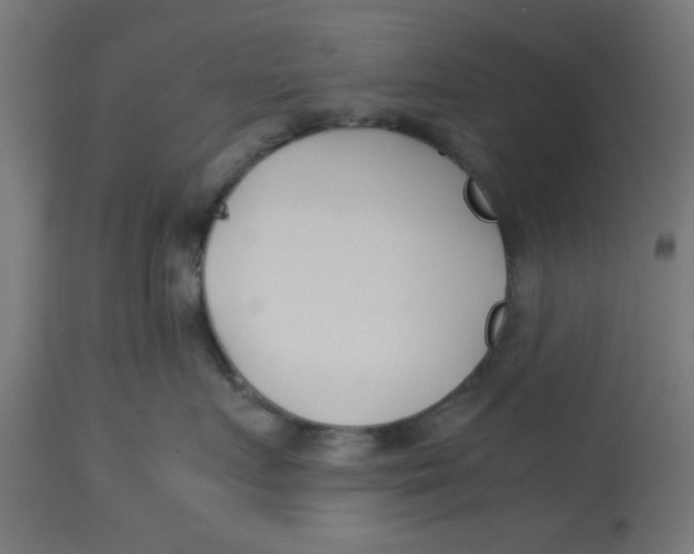 X0000113210719200910081317