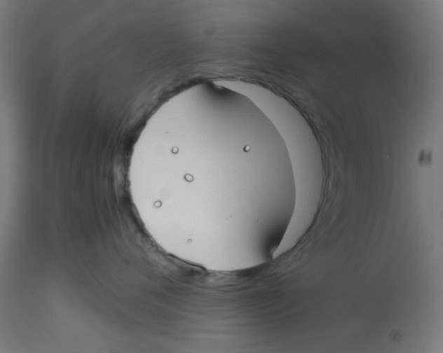 X0000113210720200910081317